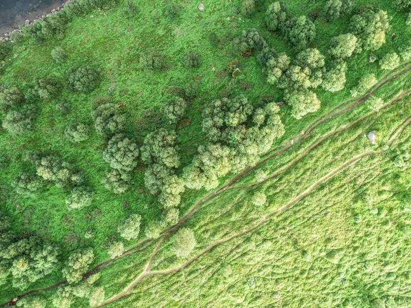 Green Lands