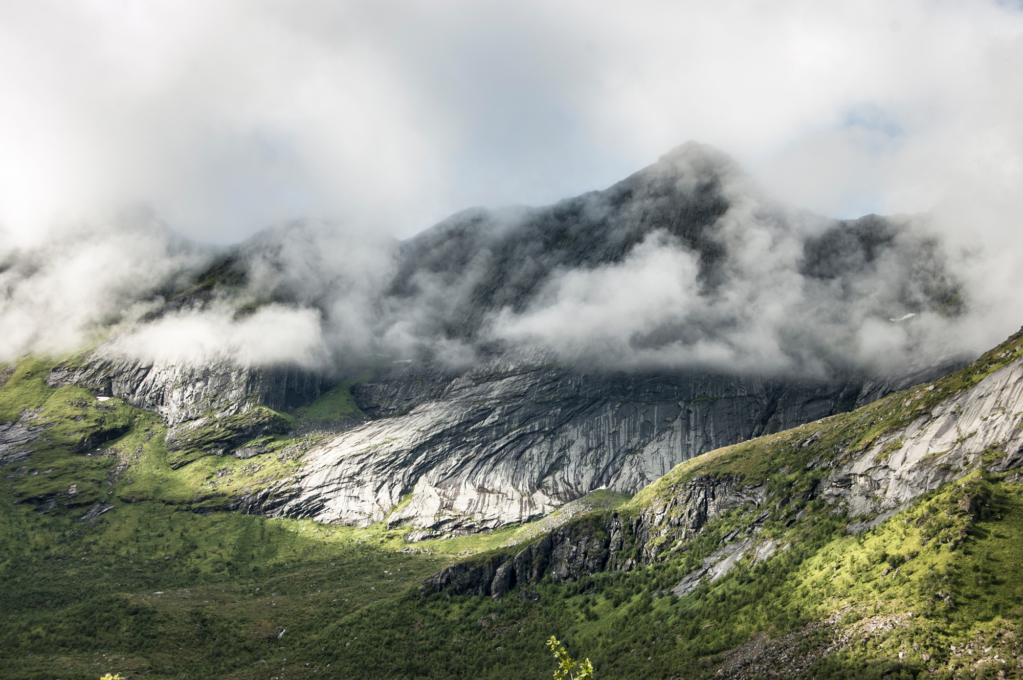 Arctic Alpine Landscapes