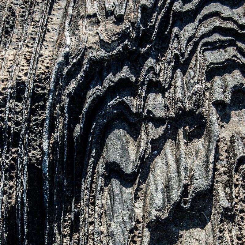 Petrified Tension #1