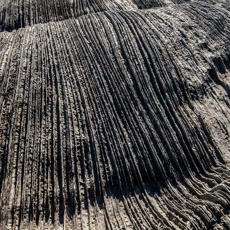 Petrified Natural Forces #2