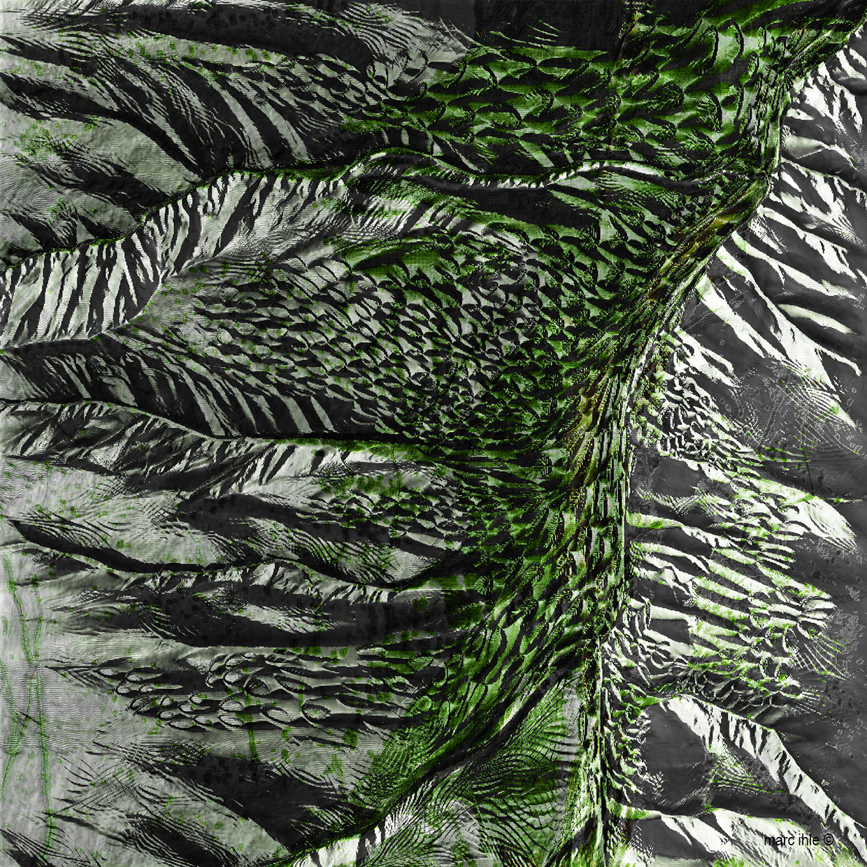 ‘Flow on Surface’