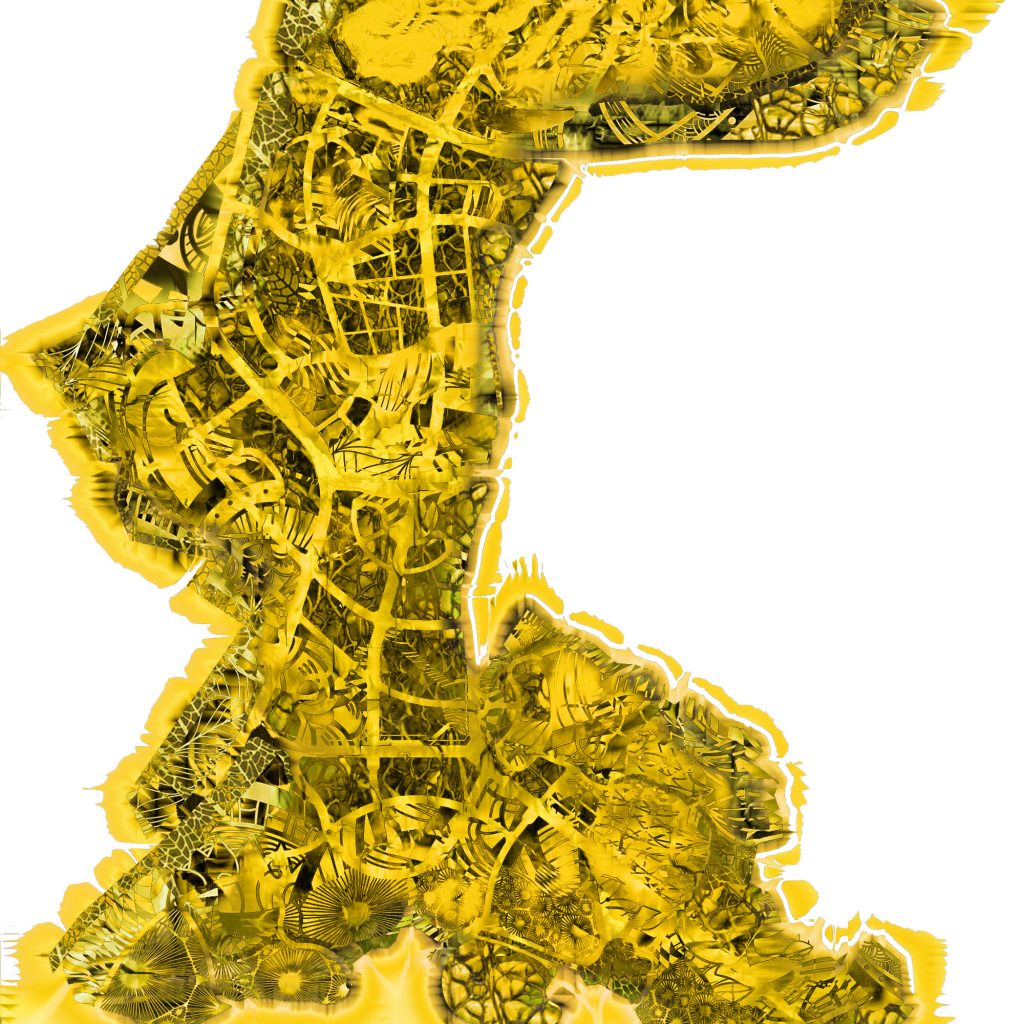 ‘Scan to GIS – 100YC’