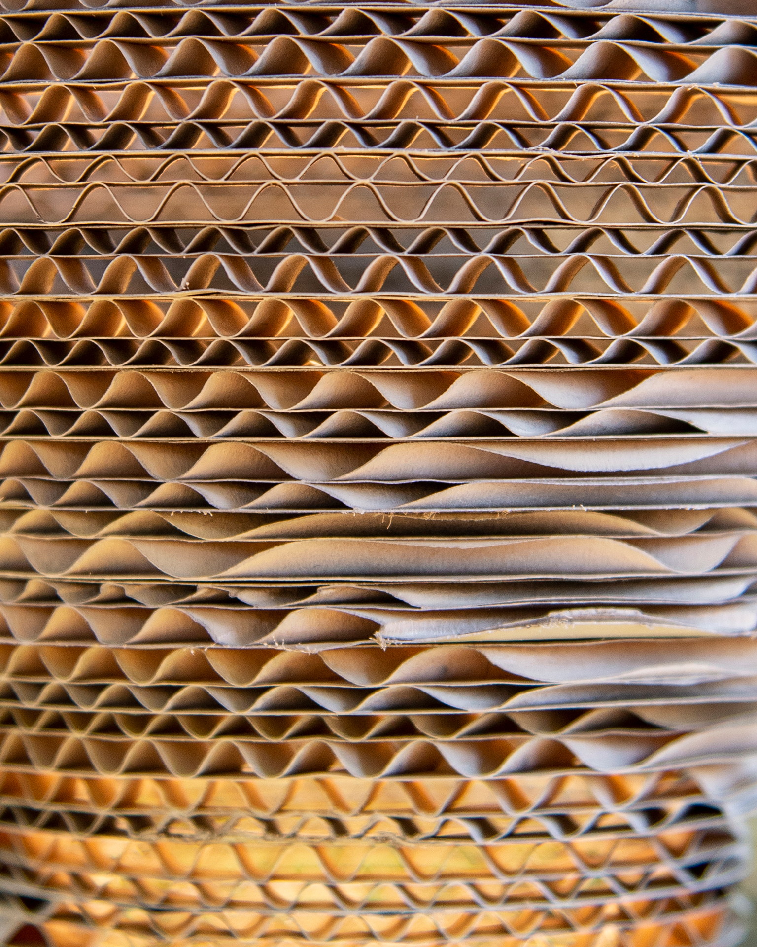 Digital Design Skole 2021, Makerspace Vesterålen — foto Marc-Eduard Ihle
